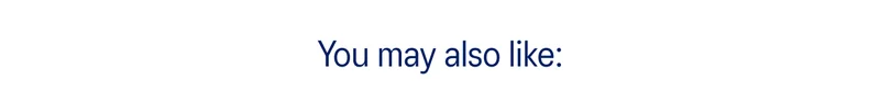 You May Also Like:
