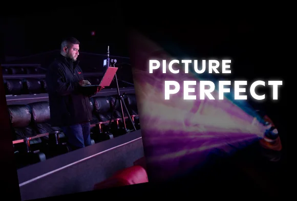 PICTURE PERFECT