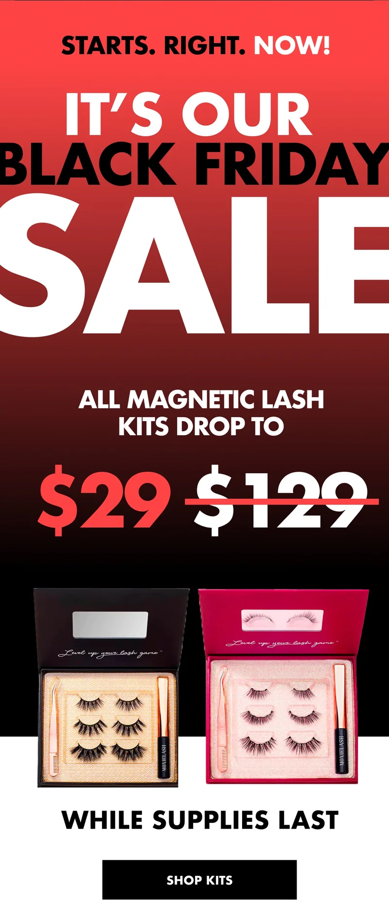 Our Black Friday Sale Starts Now!