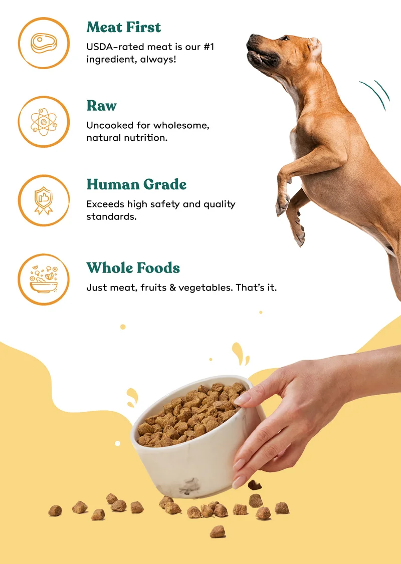 Best Ingredients