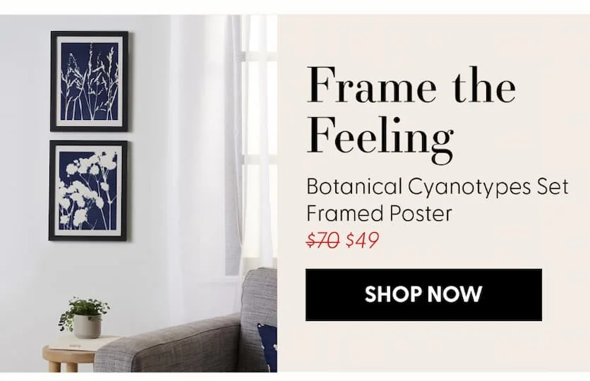 Botanical Cyanotypes Set Framed Poster