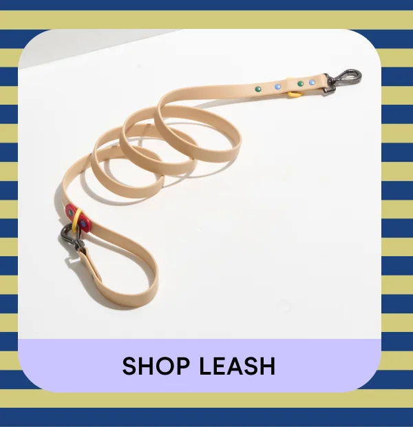 shop leash