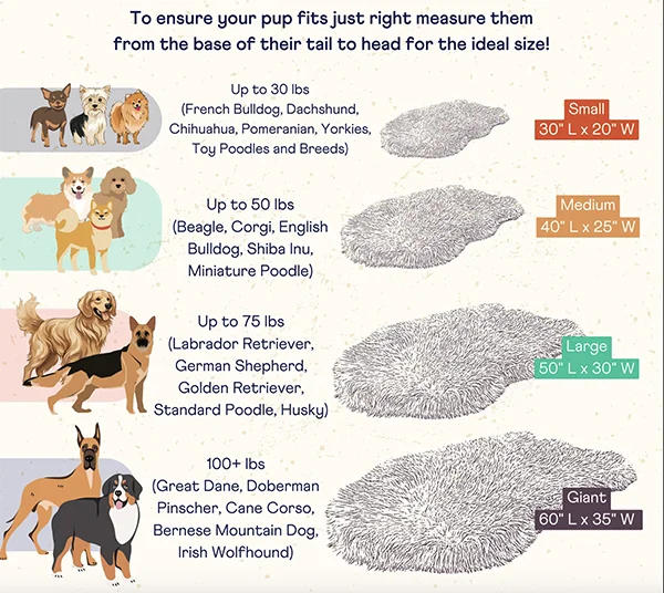 PupRug Size Guide