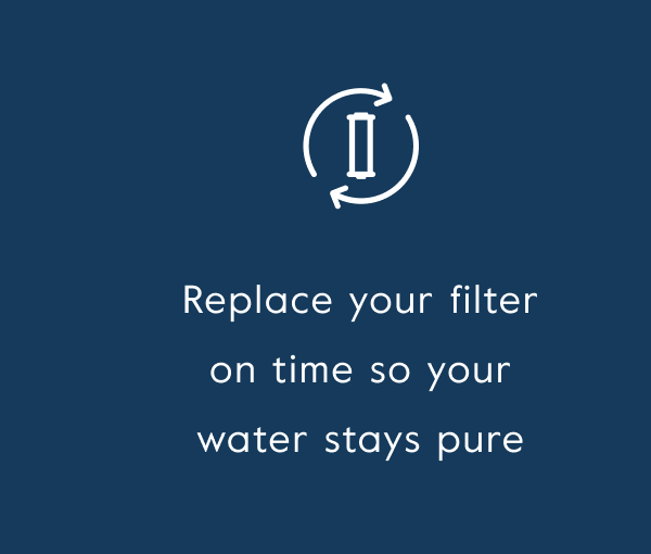 Replace your filter on time so your water stays pure