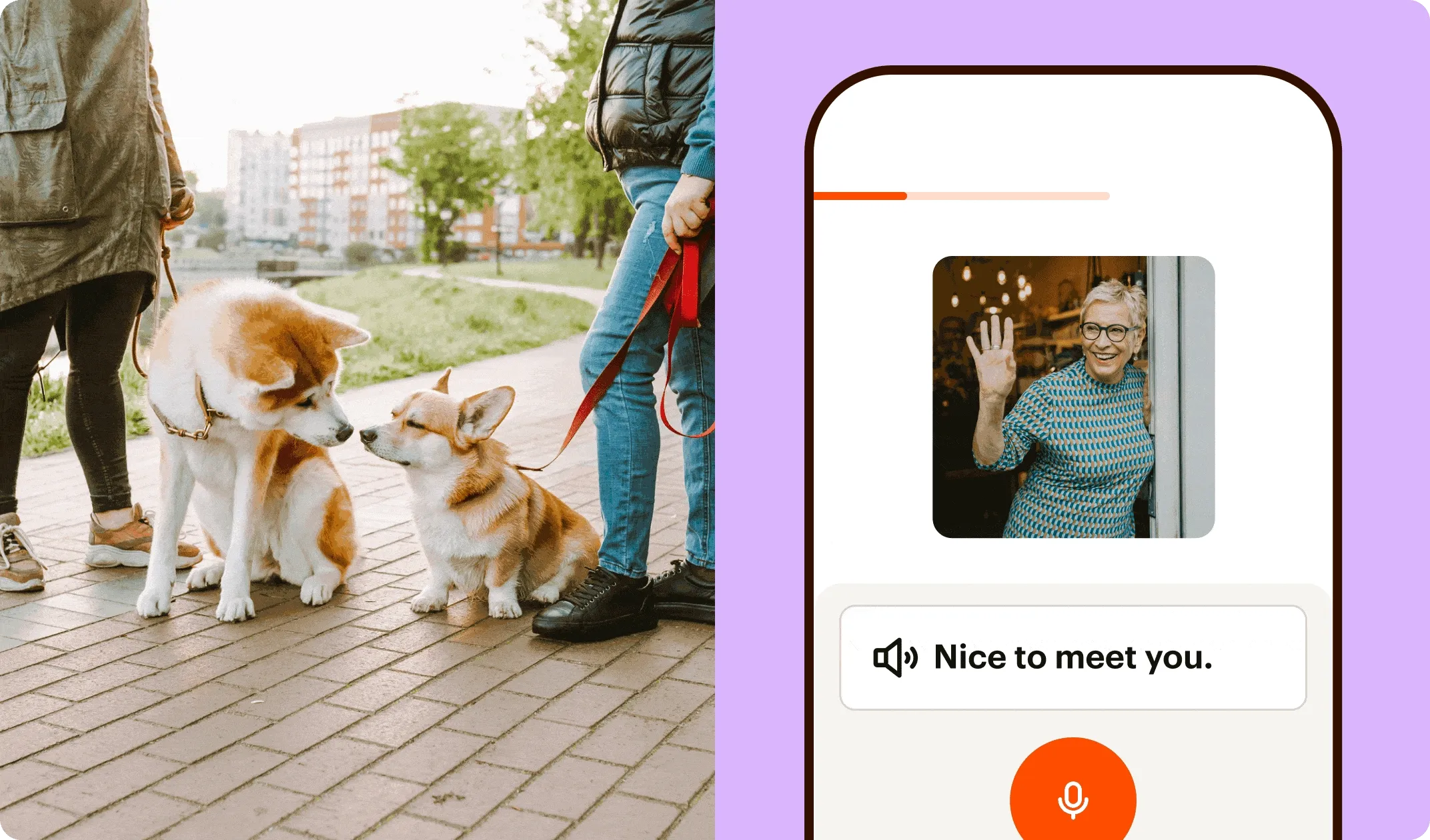 Two shibas touching noses with the Babbel app to the right.