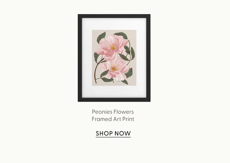Peonies flowers I Framed Art Print