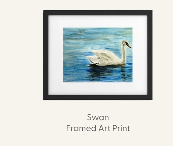 swan Framed Art Print