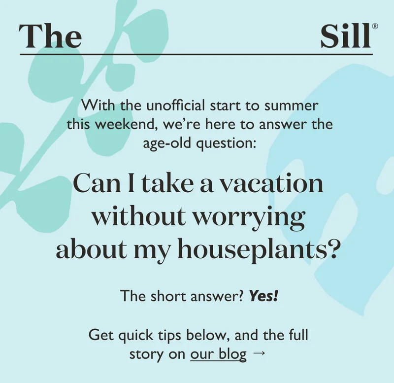 With the unofficial start to summer this weekend, we're here to answer the age-old question: Can I take a vacation without worrying about my houseplants?