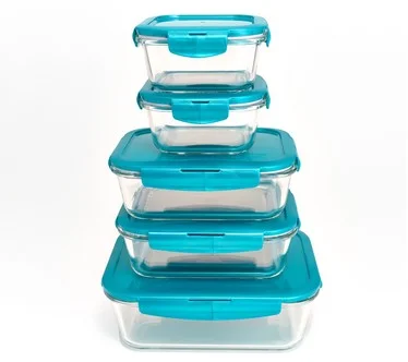 LocknLock 5-Pc Square & Rectangle Glass Storage Set