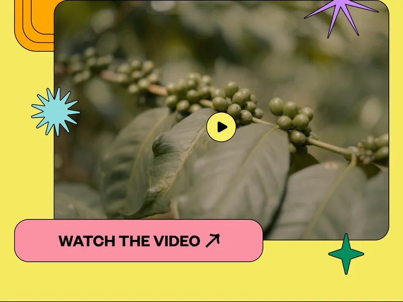 Watch the Video Watch the Video
