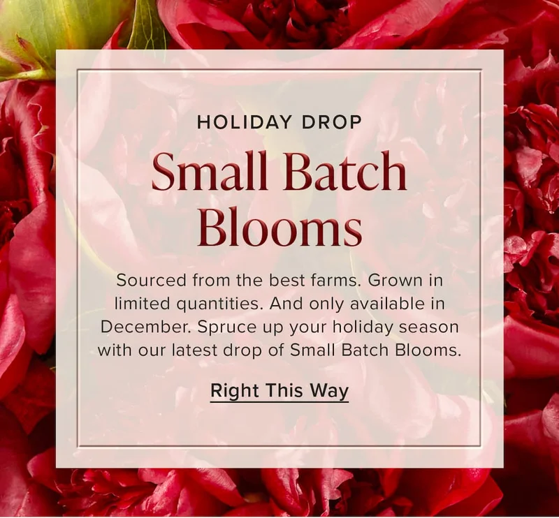 Holiday Drop: Small Batch Blooms. Sourced from the best farms. Grown in limited quantities. And only available in December. Spruce up your holiday season with our latest drop of Small Batch Blooms. Right This Way.
