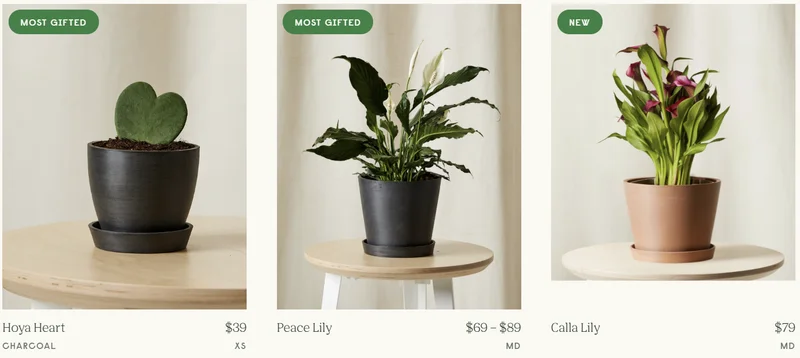 need a gift for mother's day?