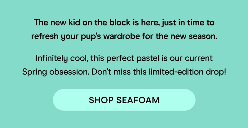 Shop Seafoam