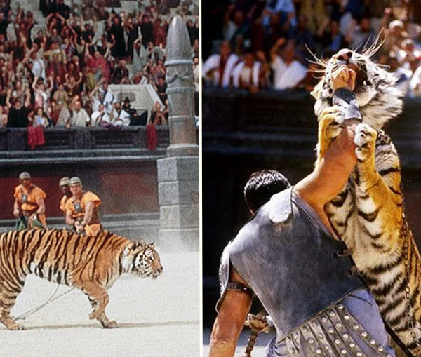 Russell Crowe wrestling a tiger