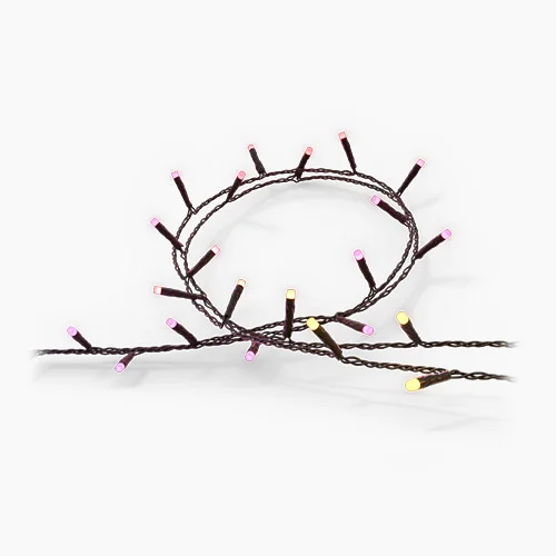 Festavia string lights
