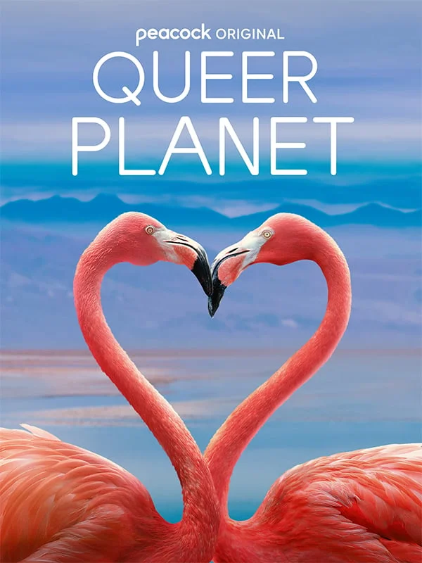 Queer Planet