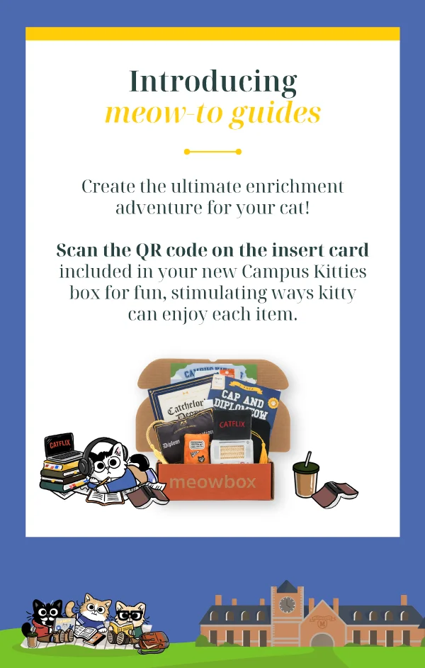 **Introducing meow-to guides**  Create the ultimate enrichment adventure for your cat! Scan the QR code on the insert card included in your new Campus Kitties box for fun, stimulating ways kitty can enjoy each item. Image of the Campus Kitties meowbox below (featuring toys like the Catchelor's Degree Scratcher, Cap & Diplomeow 2-pack Catnip, Mewvie Night Laptop Scratcher Cat toys and more)