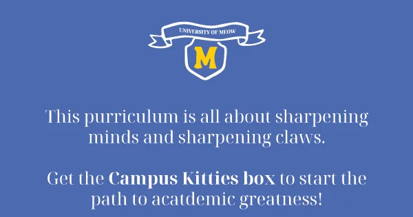This purriculum is all about sharpening minds and sharpening claws. Get the Campus Kitties box to start the path to acatdemic greatness!