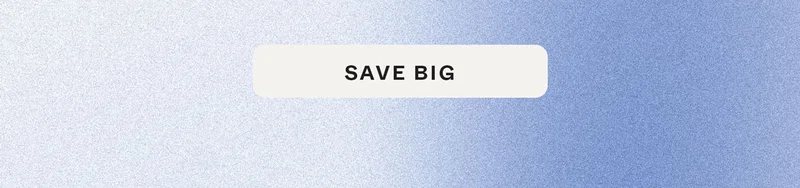 SAVE BIG