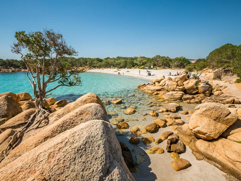 Explore the list of 2026’s trending destinations
