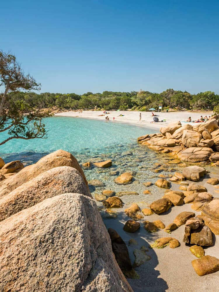 Explore the list of 2026’s trending destinations