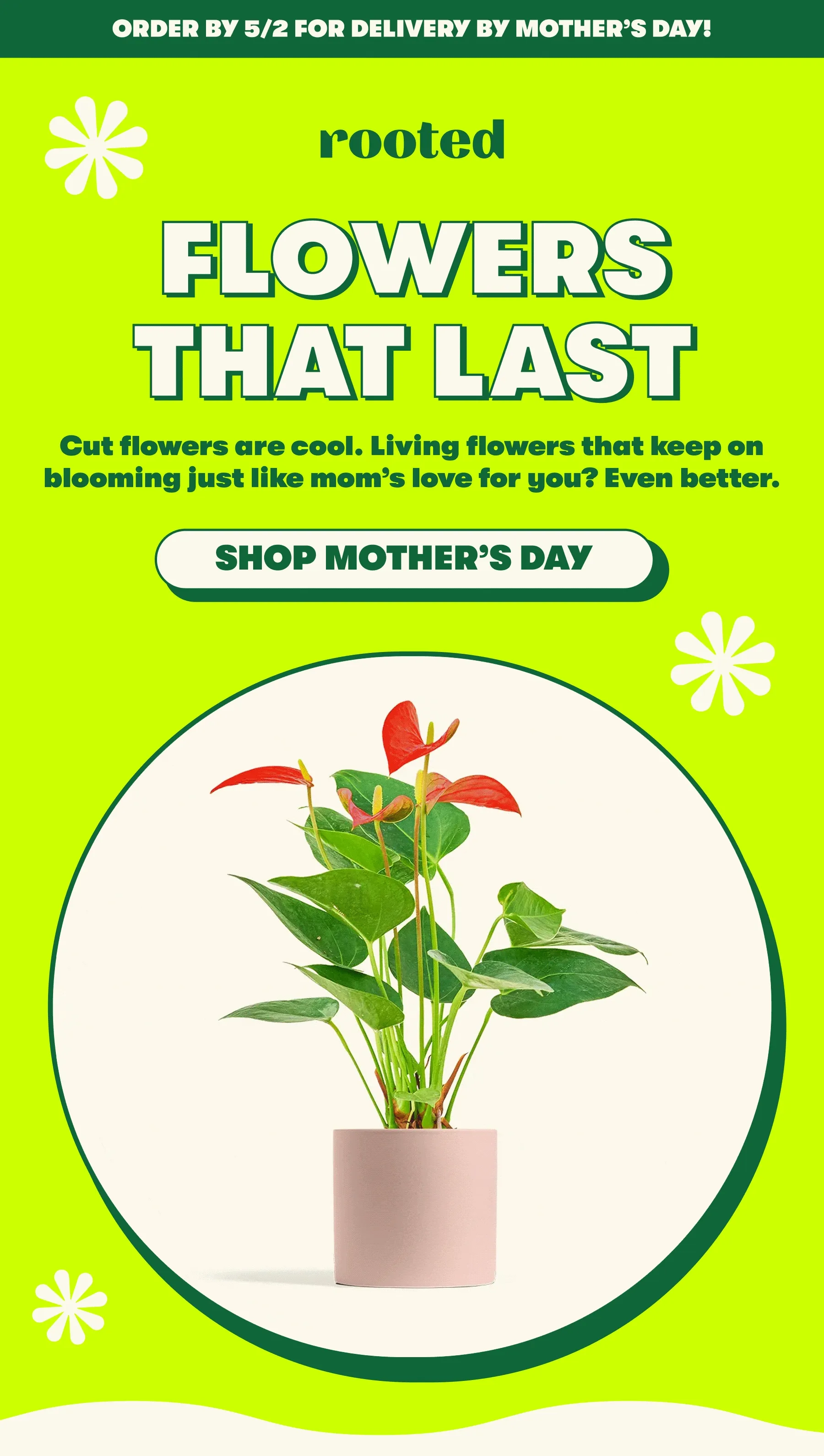ORDER BY 5/2 FOR DELIVERY BY MOTHER’S DAY!  Cut flowers are cool. Living flowers that keep on blooming just like mom’s love for you? Even better. FLOWERS THAT LAST [SHOP MOTHER’S DAY]