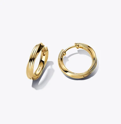 Twisted Hoop Earrings