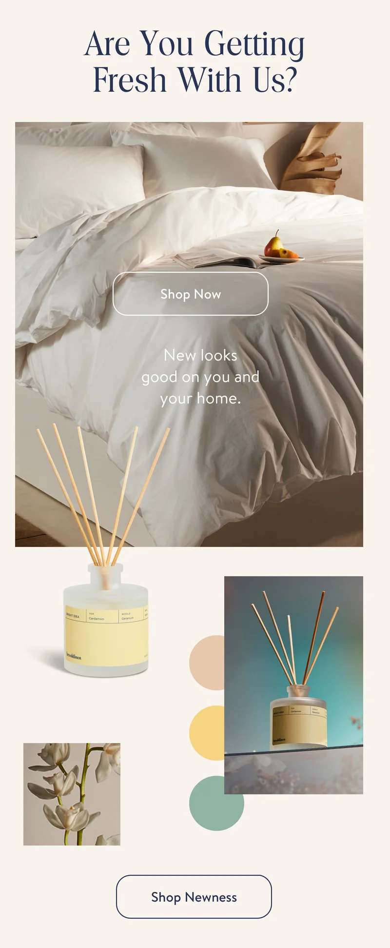 Are you getting fresh with us? Shop Newness