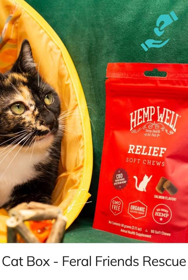 Feral Friends Monthly Cat Box. Spoil Yours. Feed a Feral Cat for 30 Days.