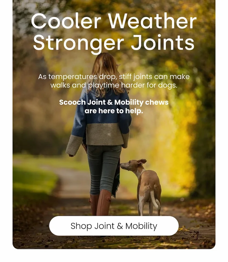 Shop Joint & Mobility