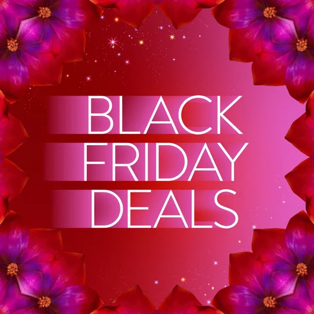 Black Friday deals.