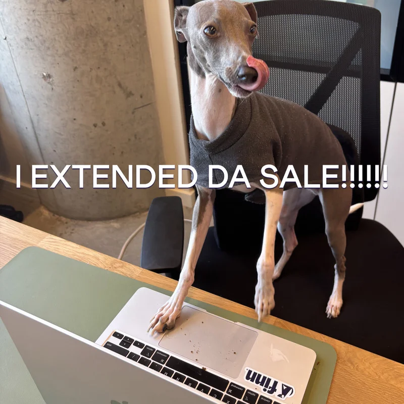 Finn the dog at desk with text: I EXTENDED DA SALE!!!