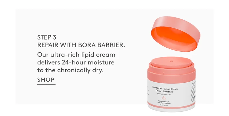 Step 3: Repair With Bora Barrier