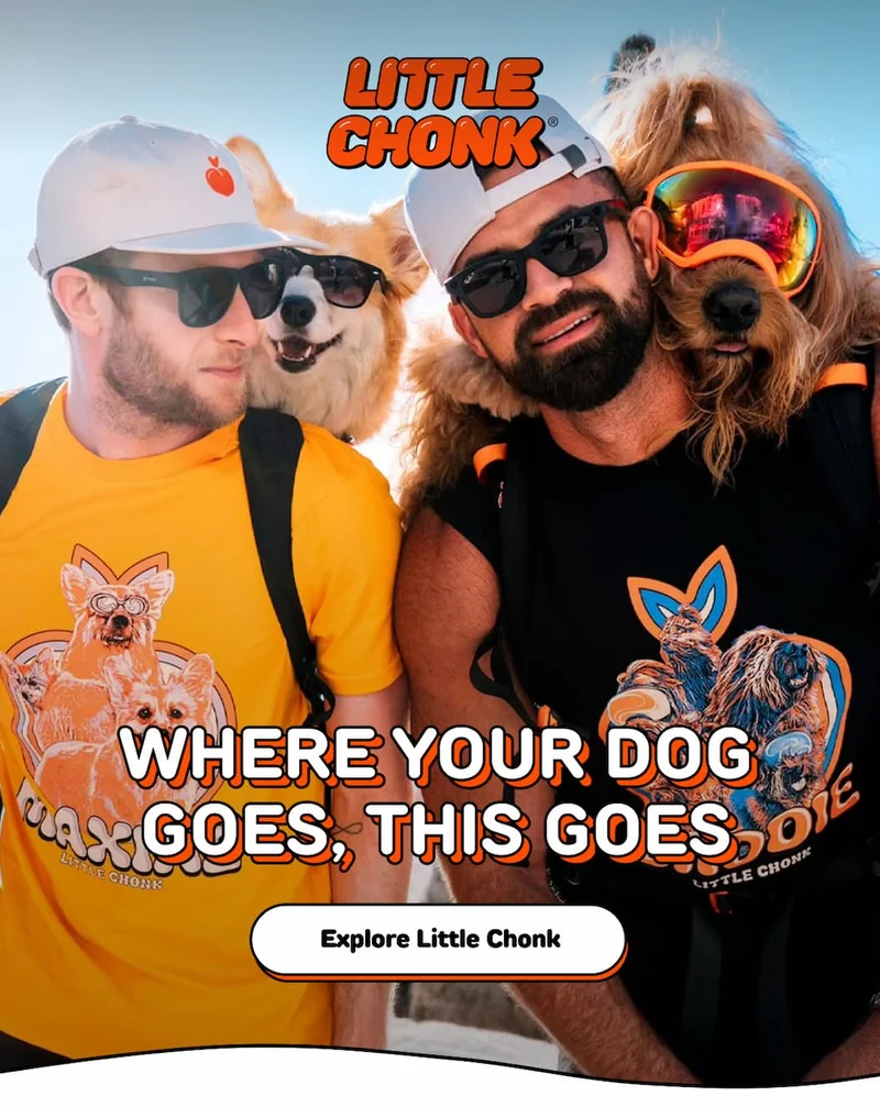 WHERE YOUR DOG GOES, THIS GOES
