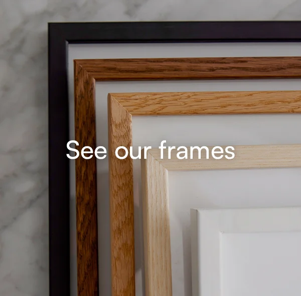 See frames