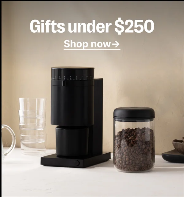 Gifts under $250