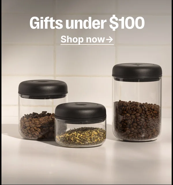 Gifts under $100