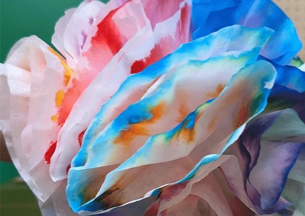 Animated image of a colorful dyed flower showcasing the chemistry behind color absorption.