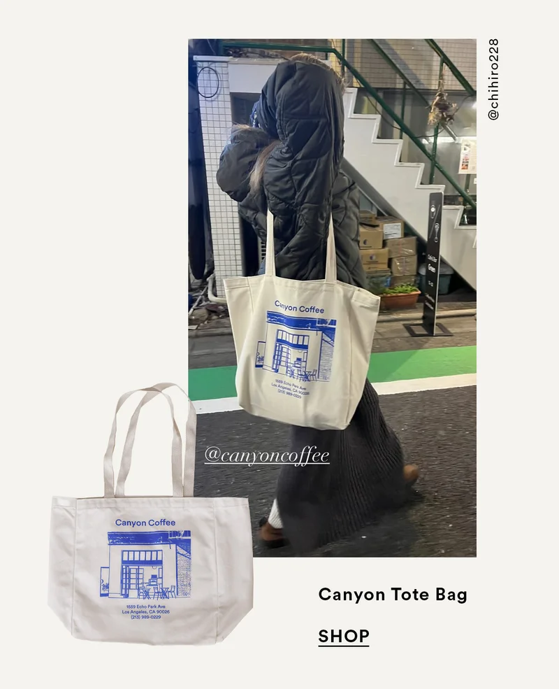 The Echo Park Tote