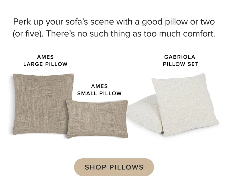 Perk up your sofa’s scene with a good pillow or two (or five). Shop pillows.