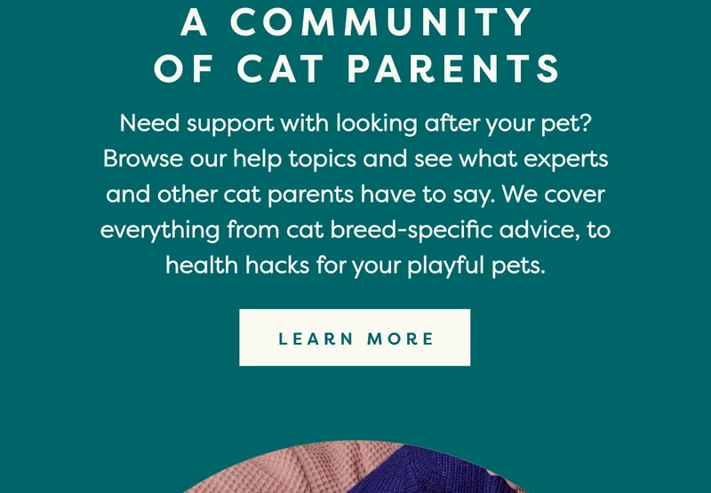 Learn more