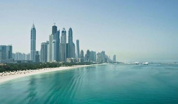 image-to-translate-9VmAYmUF8R