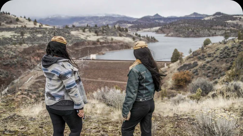 Two people standing on a hill overlooking a dammed river.