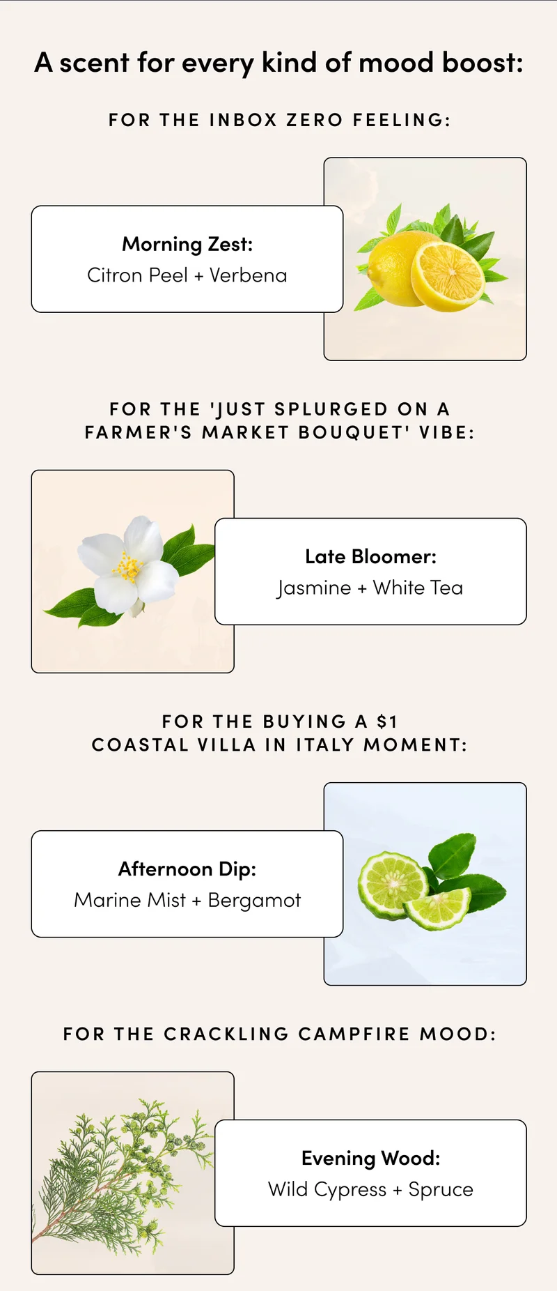 A SCENT FOR EVERY MOOD BOOST