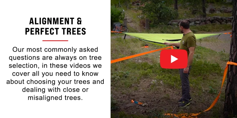 Alignment & Perfect Trees