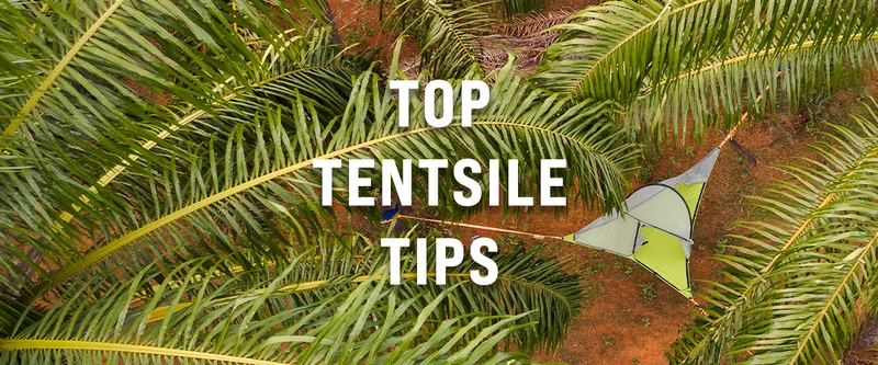 Tentsile Top Tips