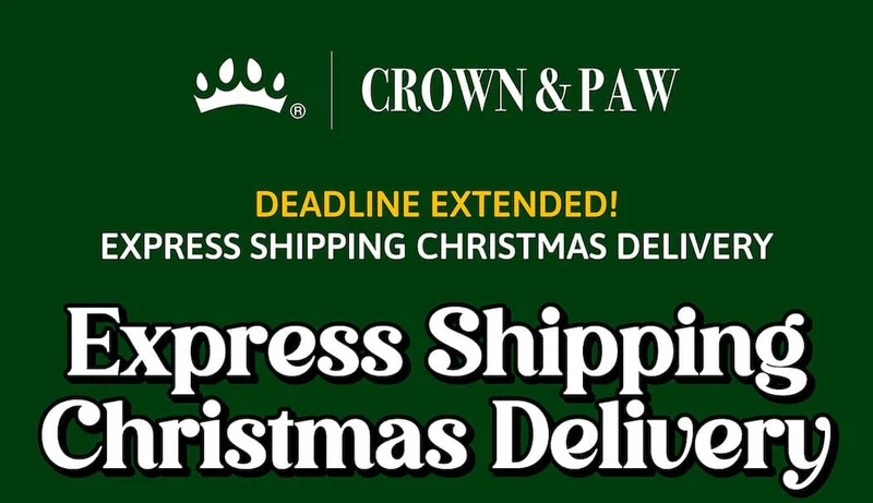 Deadline Extended! Express Shipping Christmas Delivery