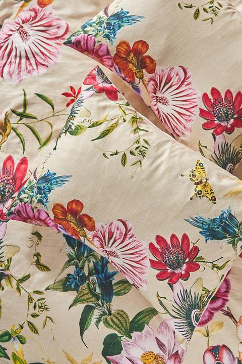 Rowena Organic Cotton Slub Botanique Shams, Set of 2