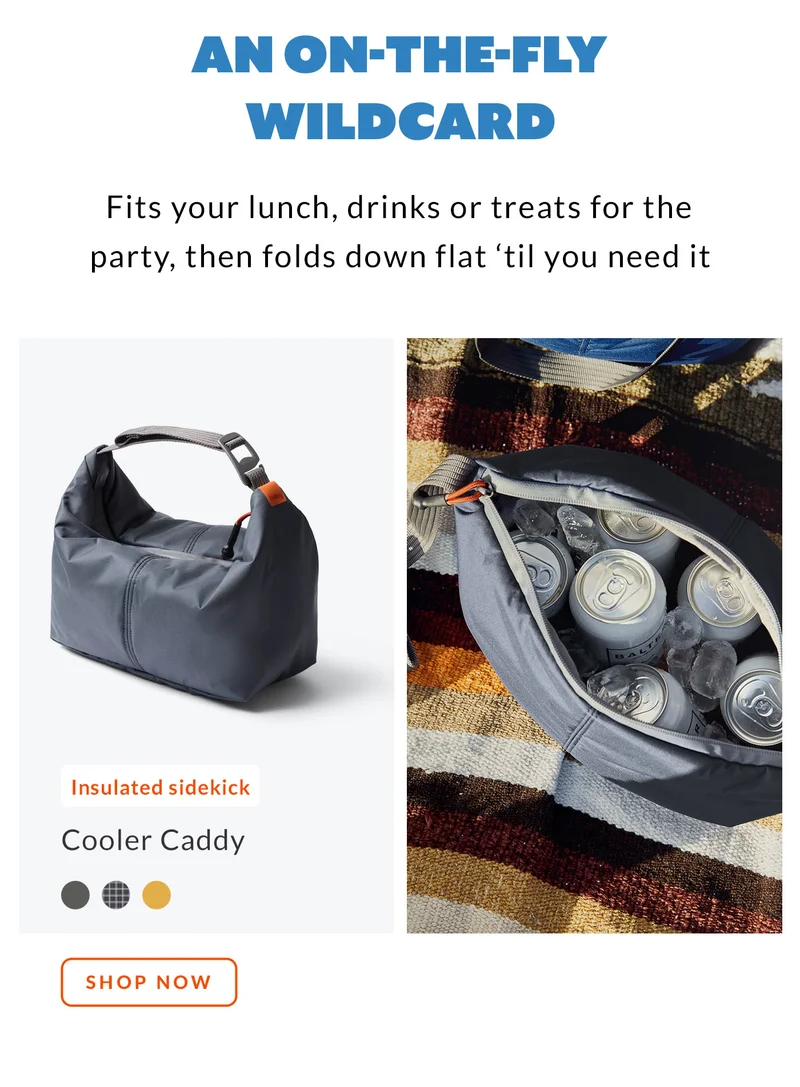 An on-the-fly wildcard… Fits you lunch, drinks or treats for the party, then folds down flat till you need it