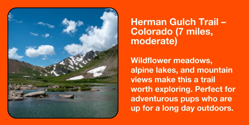 Herman Gulch Trail – Colorado (7 miles, moderate)
